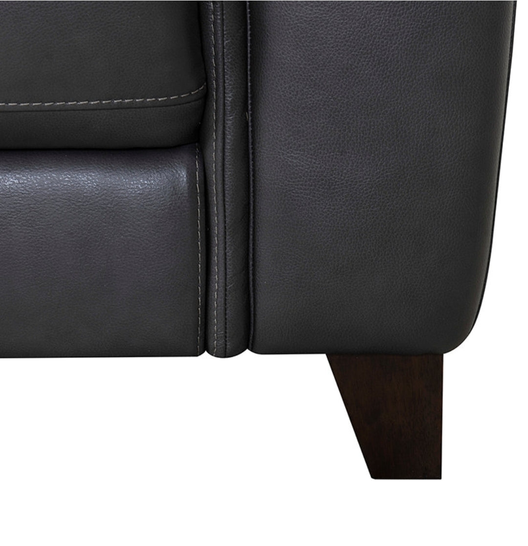 Brayna 88" Classic Leather Sofa (Charcoal)