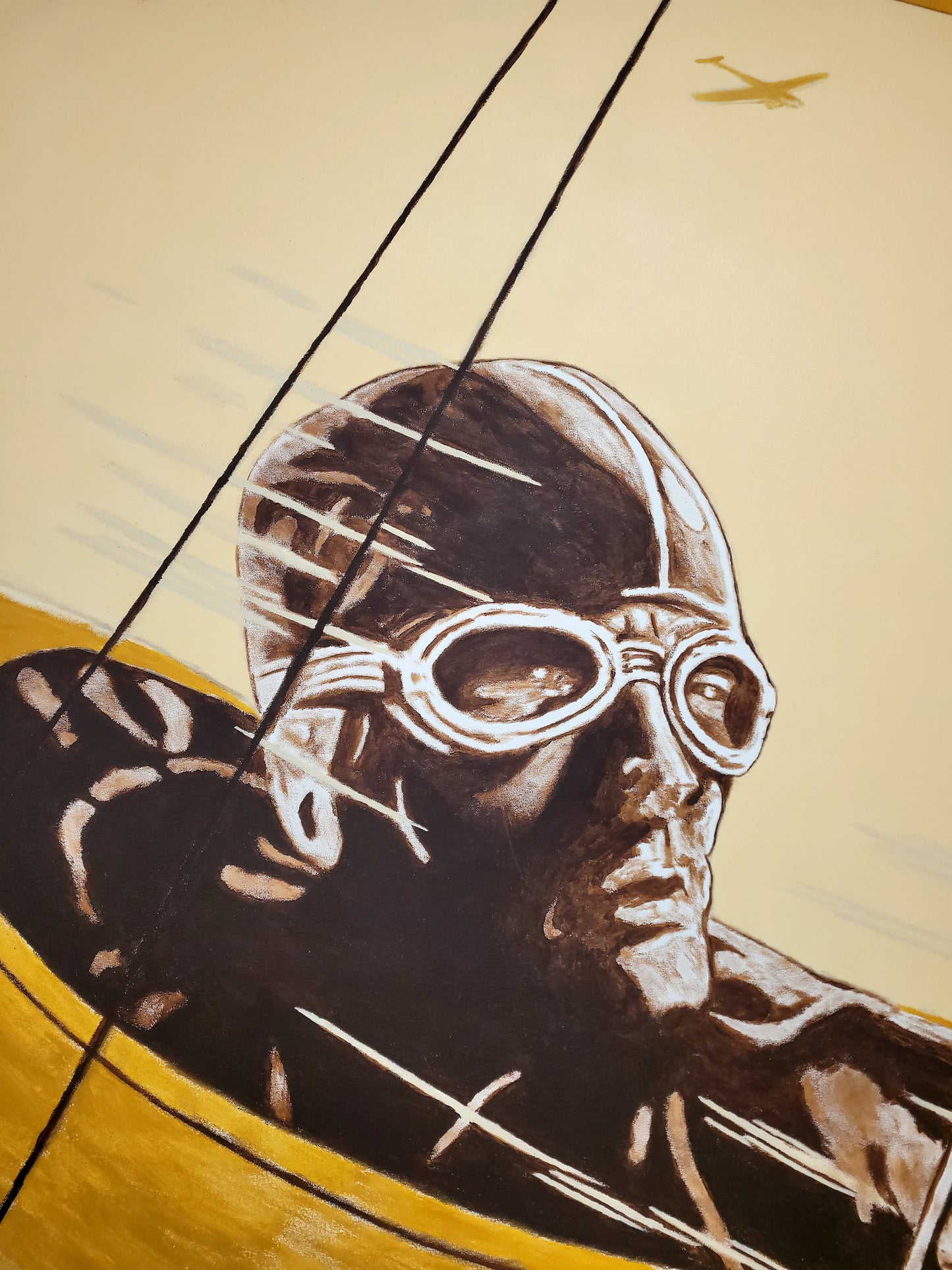 Pilot Canvas Painting