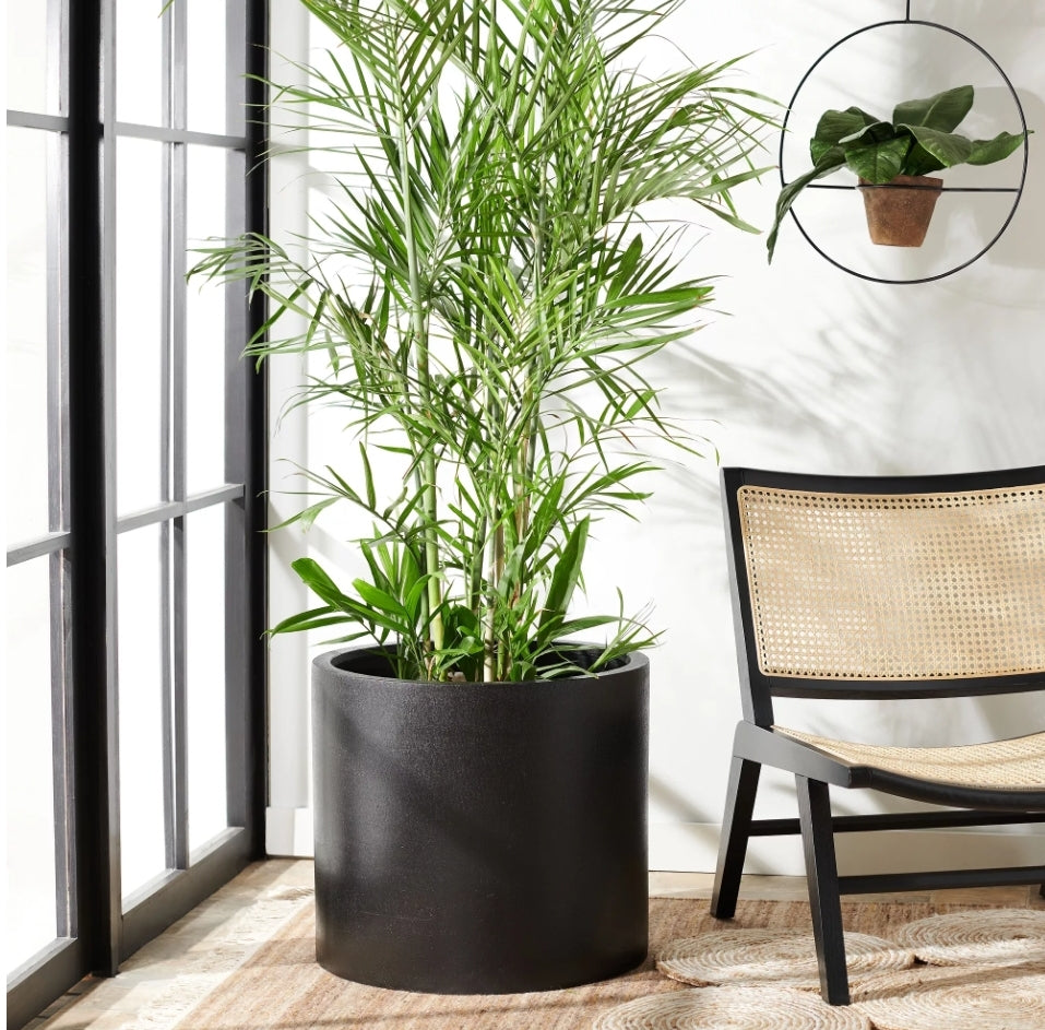 Safavieh Alia Planter (Black)