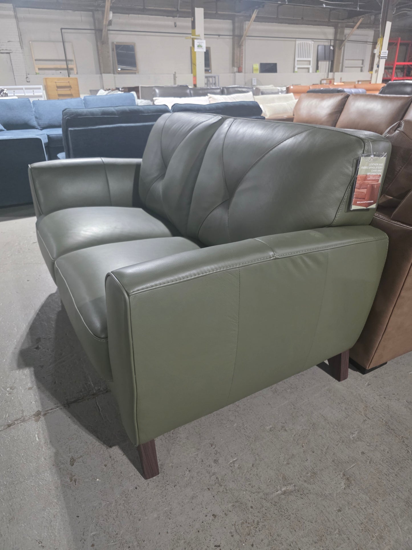 Myia 62" Leather Loveseat (Green)