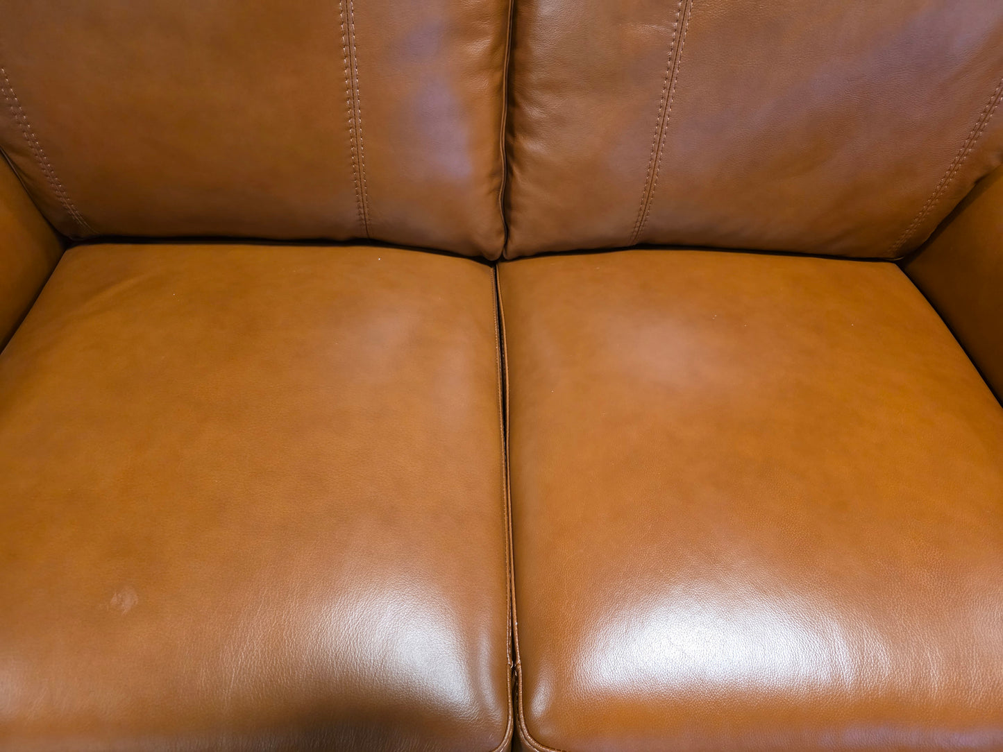 Cobbie 69" Leather Loveseat (Brandy)